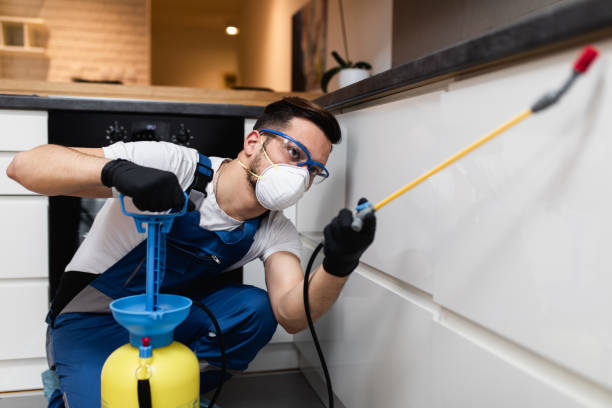 Best Pest Control Near Me  in Daphne, AL