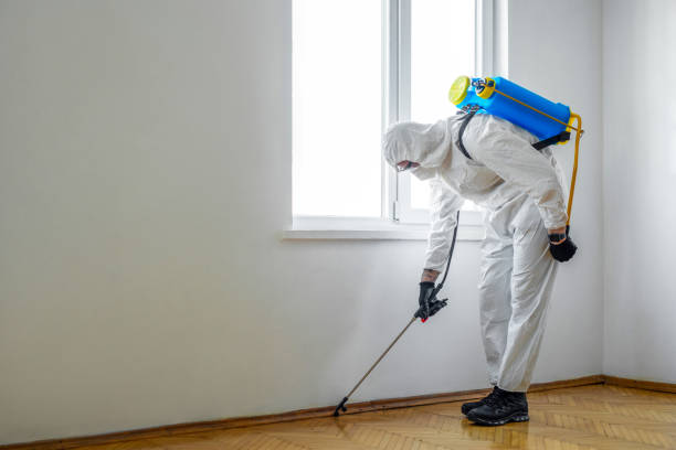 Best Pest Removal Services  in Daphne, AL