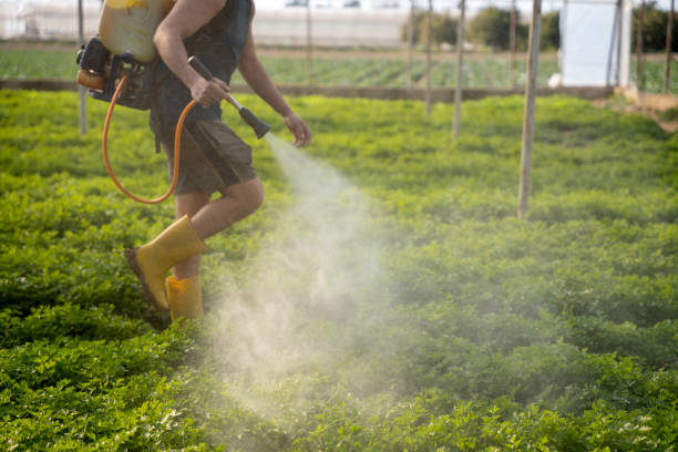 Best Exterminator Services  in Daphne, AL