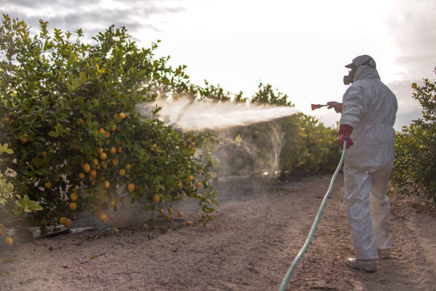 Best Commercial Pest Control Services  in Daphne, AL