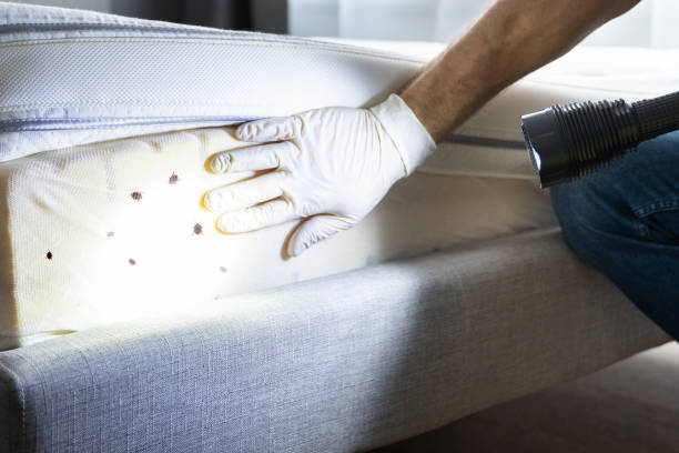 Best Affordable Pest Control Services  in Daphne, AL