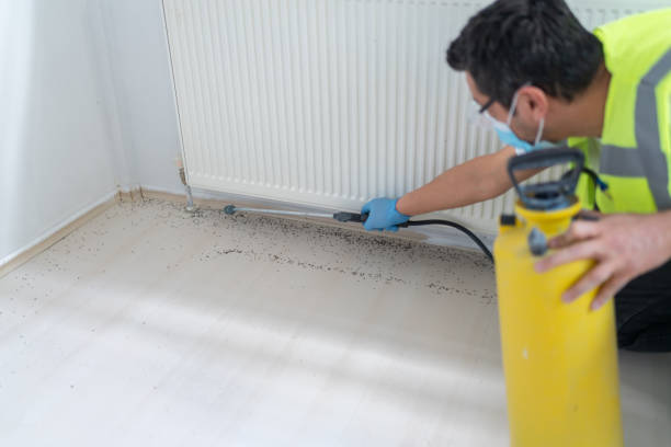 Pest Control for Restaurants in Daphne, AL