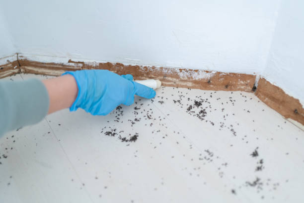 Best Wildlife Control Services  in Daphne, AL