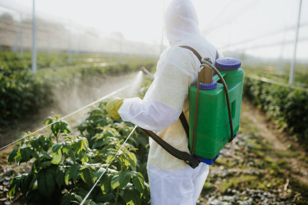 Best Wildlife Control Services  in Daphne, AL